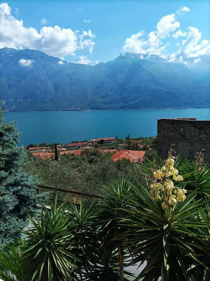 Villa Fior Di Loto Limone sul Garda Italy