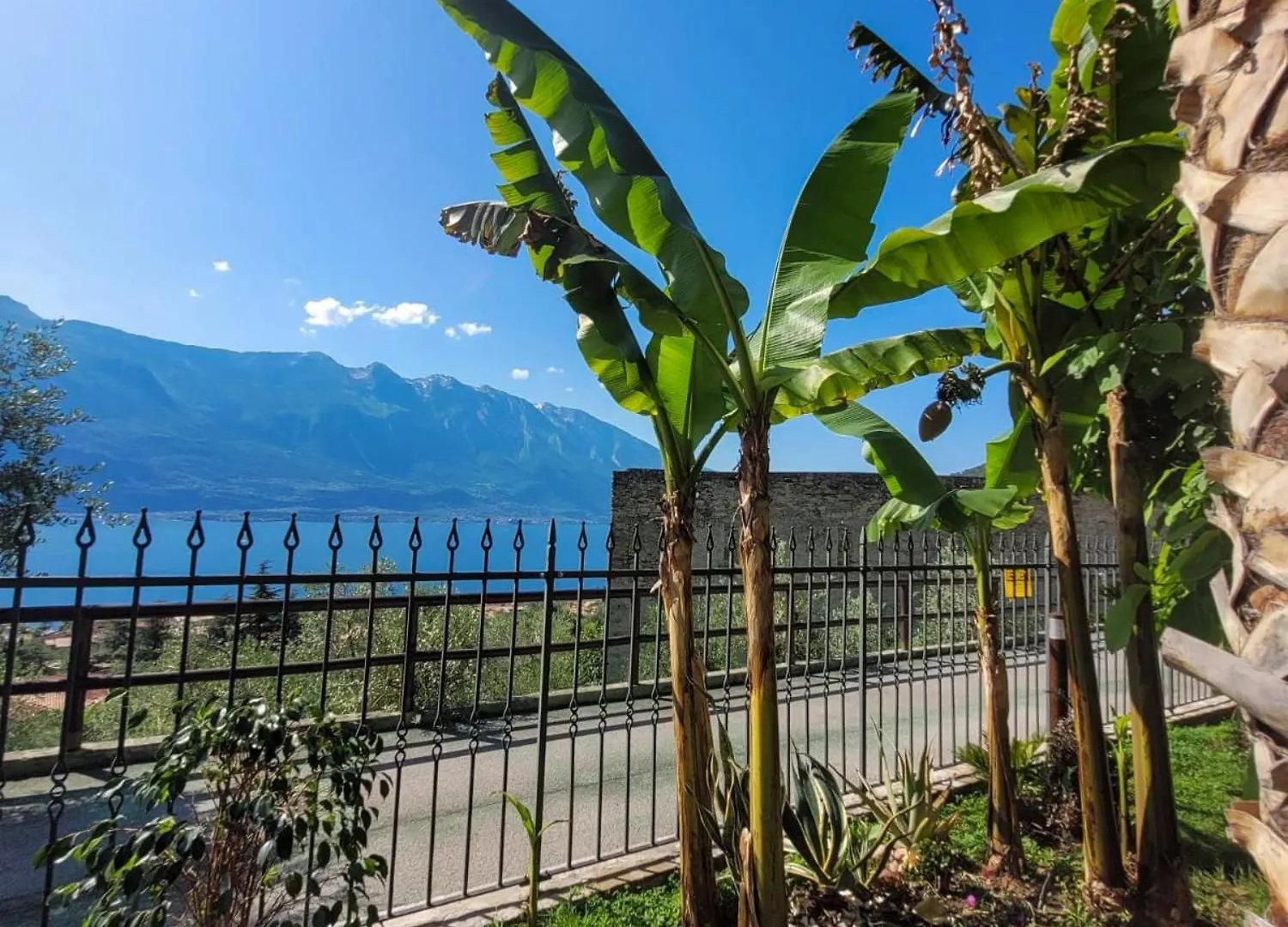 Villa Fior Di Loto Limone sul Garda Italy